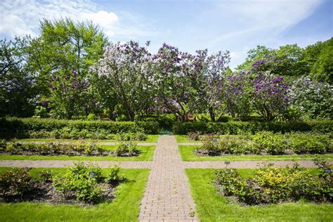 Ogród Botaniczny w Groznym – Rajska Oaza Florystycznej Piękności!