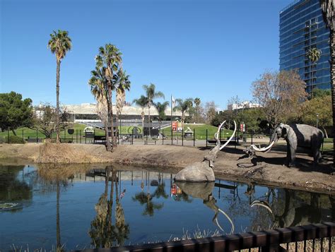  The La Brea Tar Pits: Journey Back in Time through Prehistoric Goo!